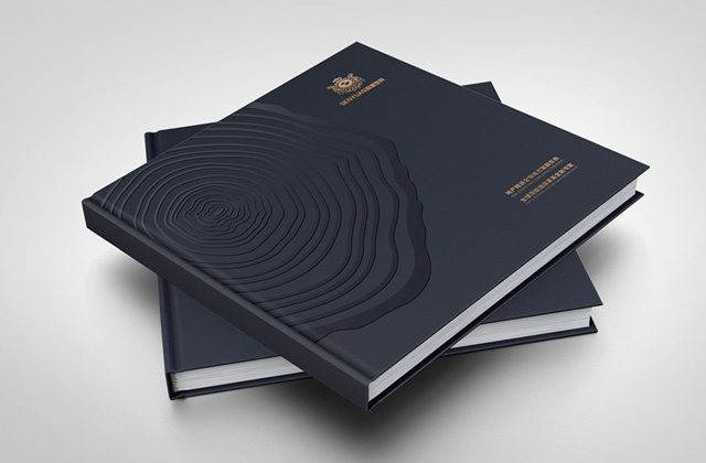 森源 | 畫冊策劃設(shè)計(jì)