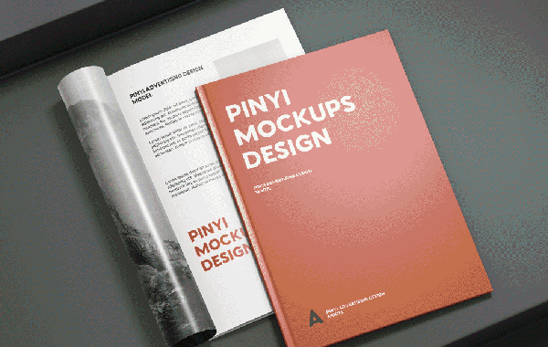 宣傳畫(huà)冊(cè)設(shè)計(jì)從哪些方面去考慮問(wèn)題呢