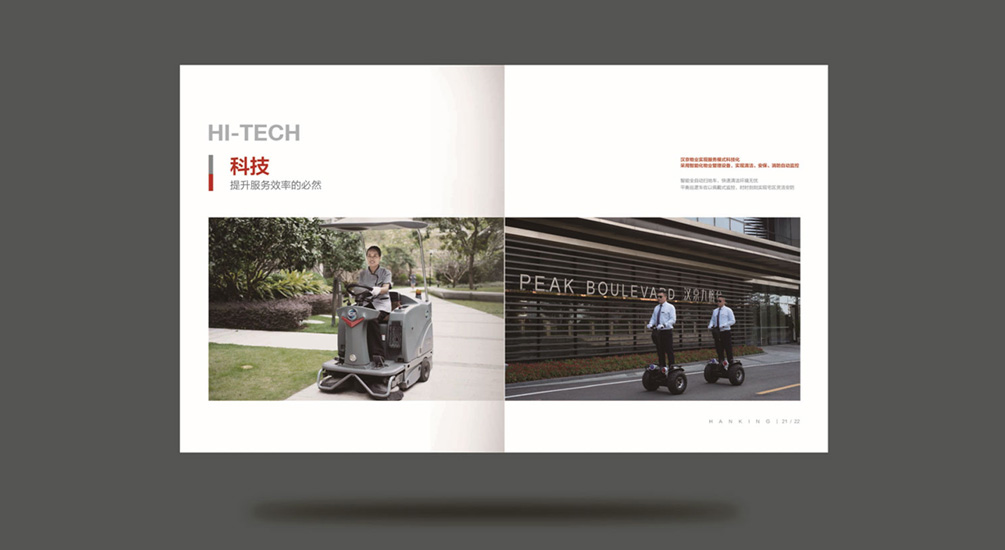 1613731272930562.jpg 案例祥情12.jpg