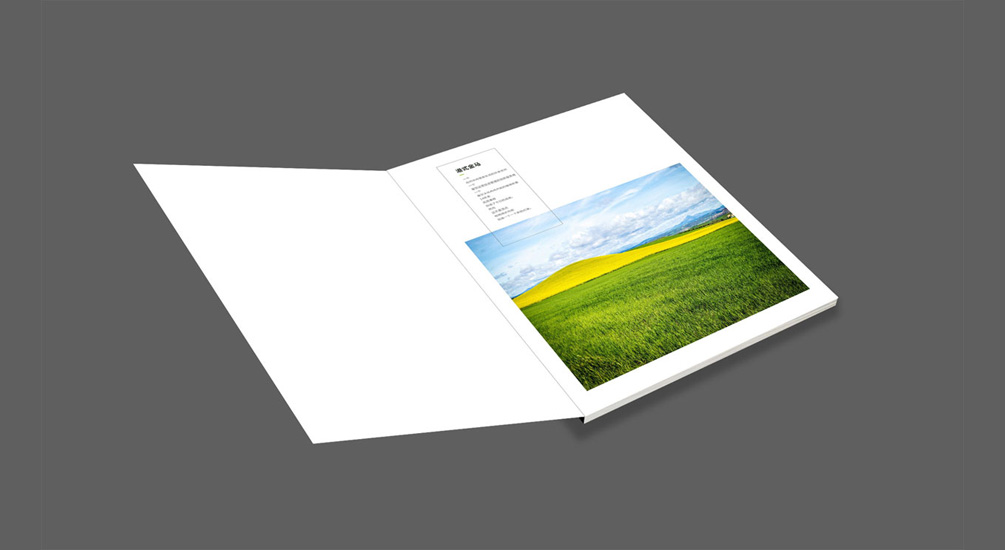 1613731917522620.jpg 案例祥情1.jpg