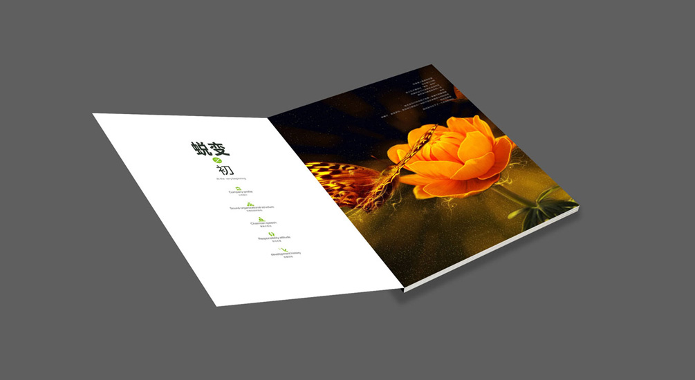 1613731920634288.jpg 案例祥情2.jpg