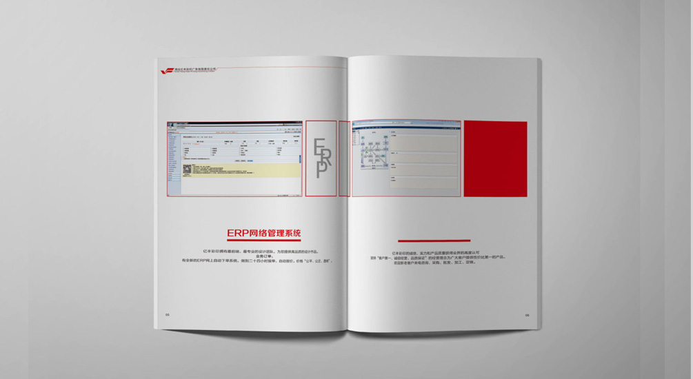 1613735030324674.jpg 案例祥情4.jpg