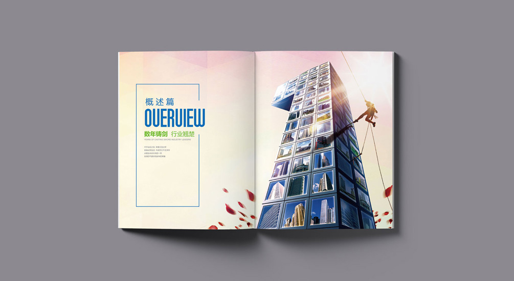 1613793683139762.jpg 案例祥情4.jpg