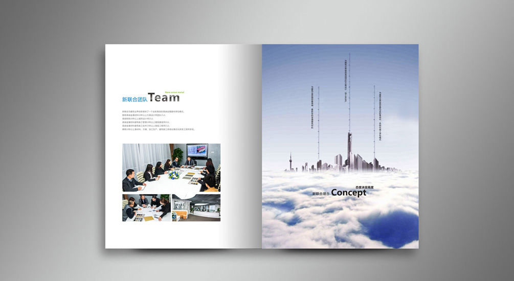 1613795226118875.jpg 案例祥情4.jpg