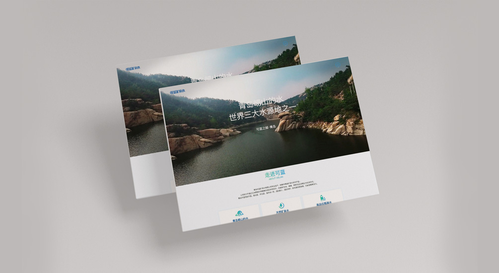 1613882678105440.jpg 案例祥情1.jpg